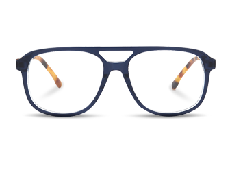 Best-Selling Optical Glasses Frames -  Vintage double bridge eyewear in acetate and metal  - HIS...